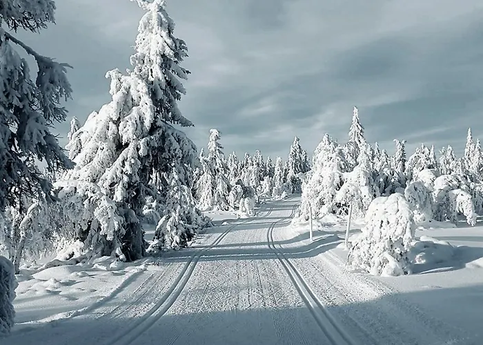 Wietorowka Lubomierz (Lower Silesia)