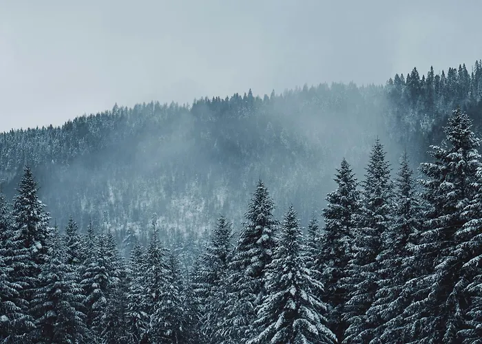 Vakantieboerderij Wietorowka Lubomierz (Lower Silesia)